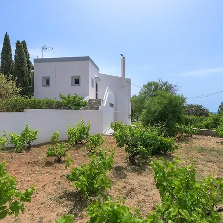 Evelyn Villa Pefki (Rhodes)