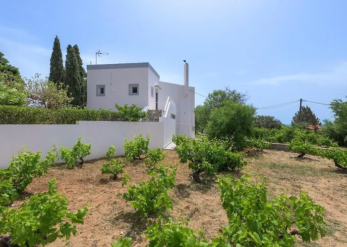 Evelyn فيلة Pefki